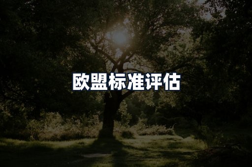 欧盟标准评估